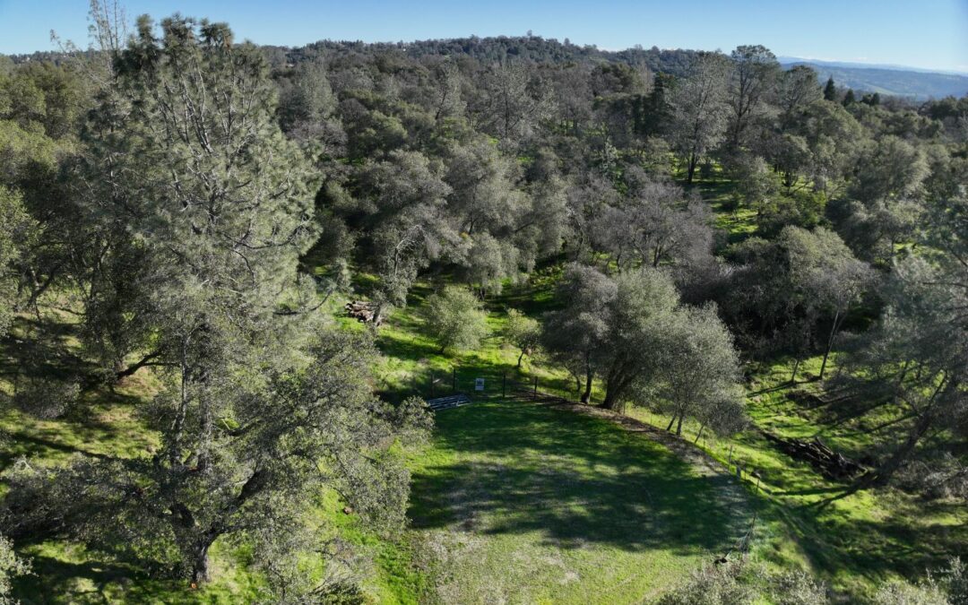 Shingle Springs Acreage: Your Canvas Awaits